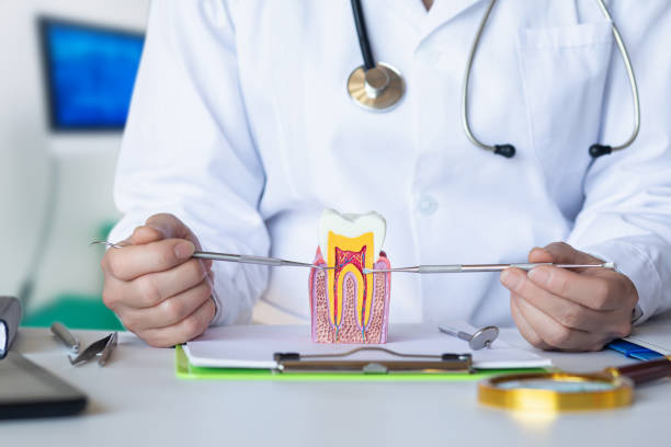 Best Orthodontic Emergency Dentist in Ozark, MO
